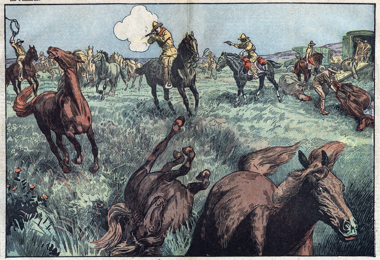 Les chevaux sauvages sont abattus aux États-Unis. Illustration de Damblans. Dans « Le Pèlerin » du 31 janvier - Eugene Damblans