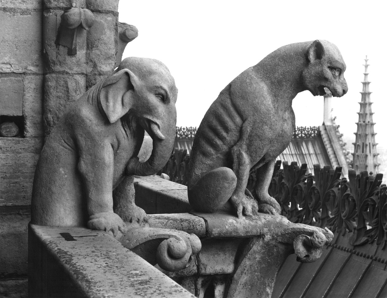 Gargouilles d