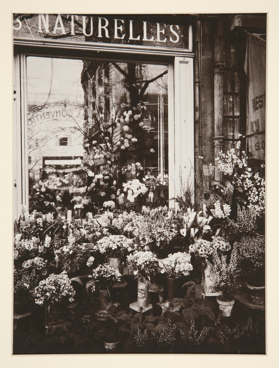 Boutique de fleurs -37 - Eugène Atget
