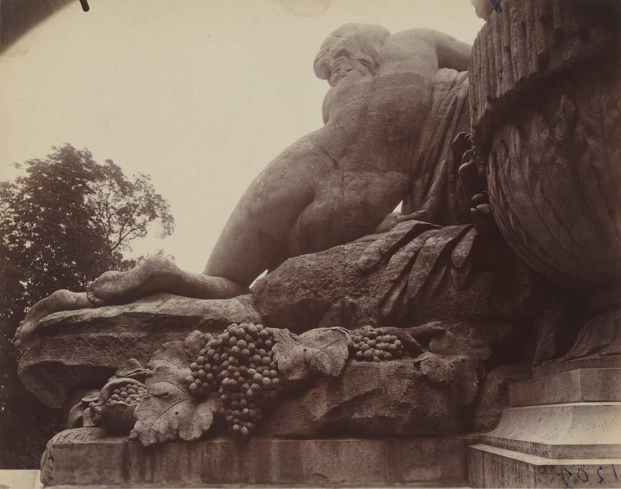 Saint-Cloud,1923 (photo) - Eugène Atget