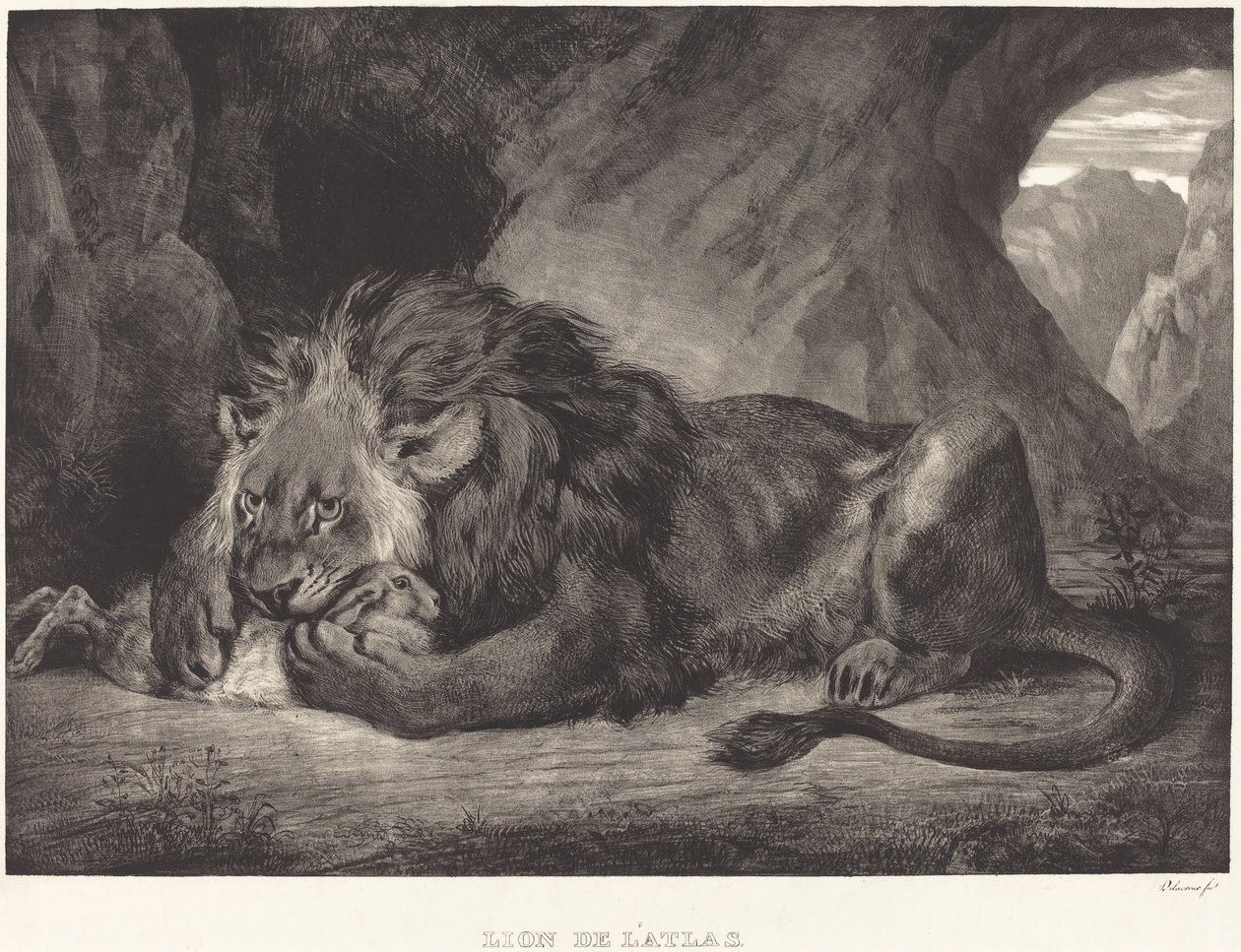 Lion de l