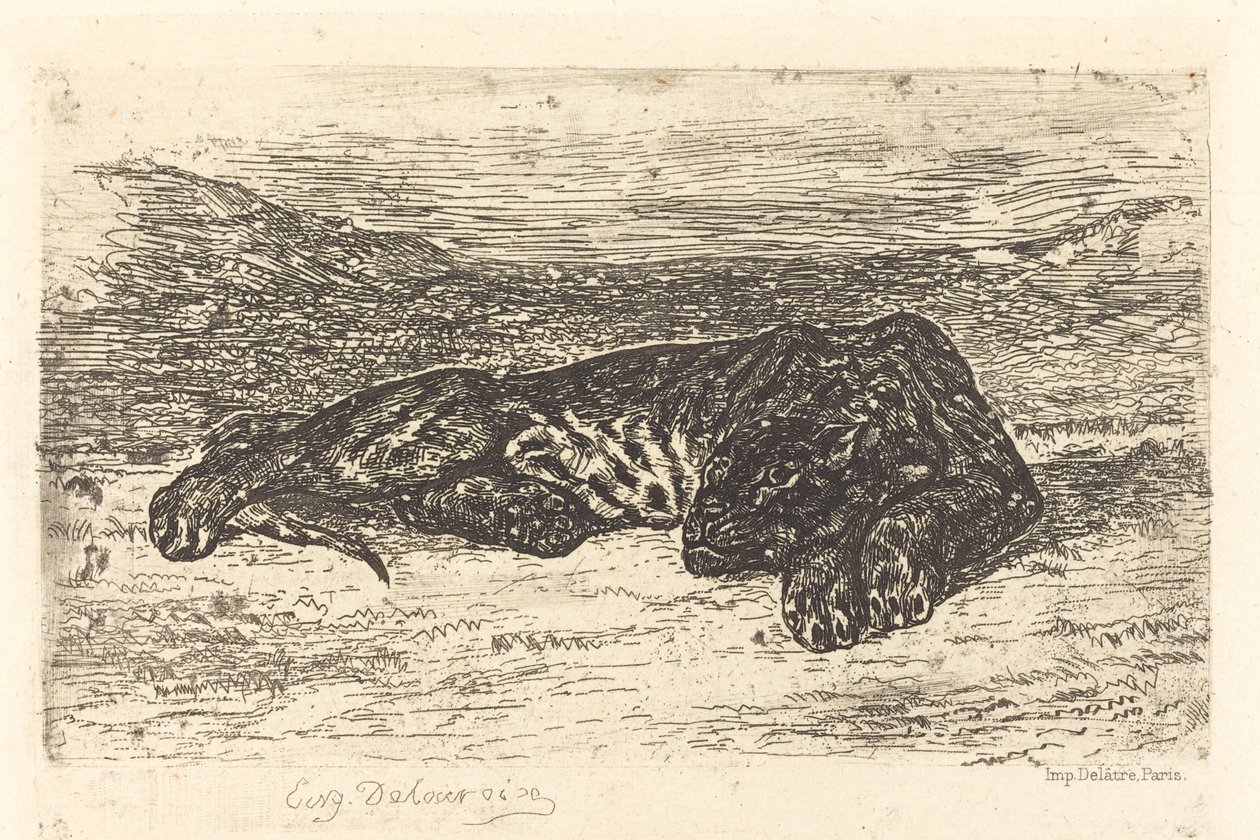 Tigre couché dans le désert, 1846 - Eugène Delacroix