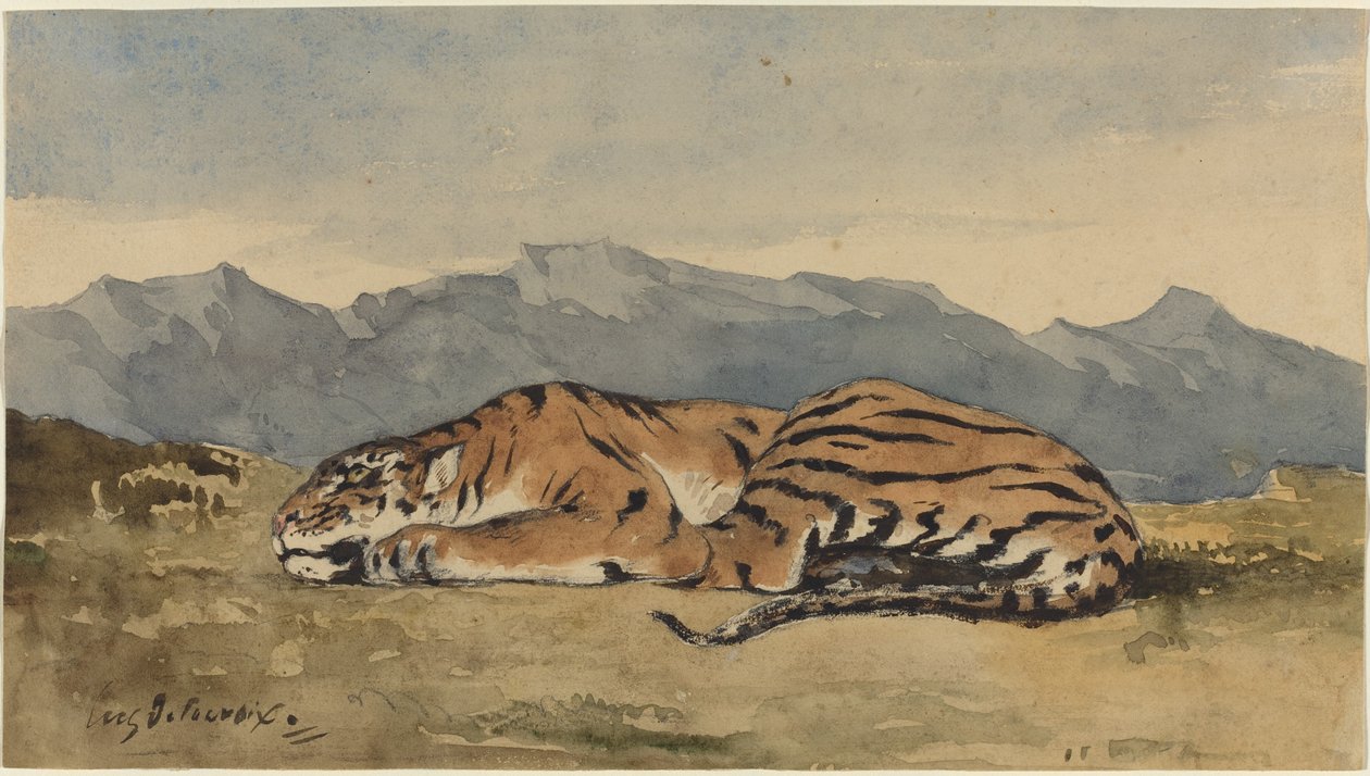 Tigre, vers 1830 - Eugène Delacroix