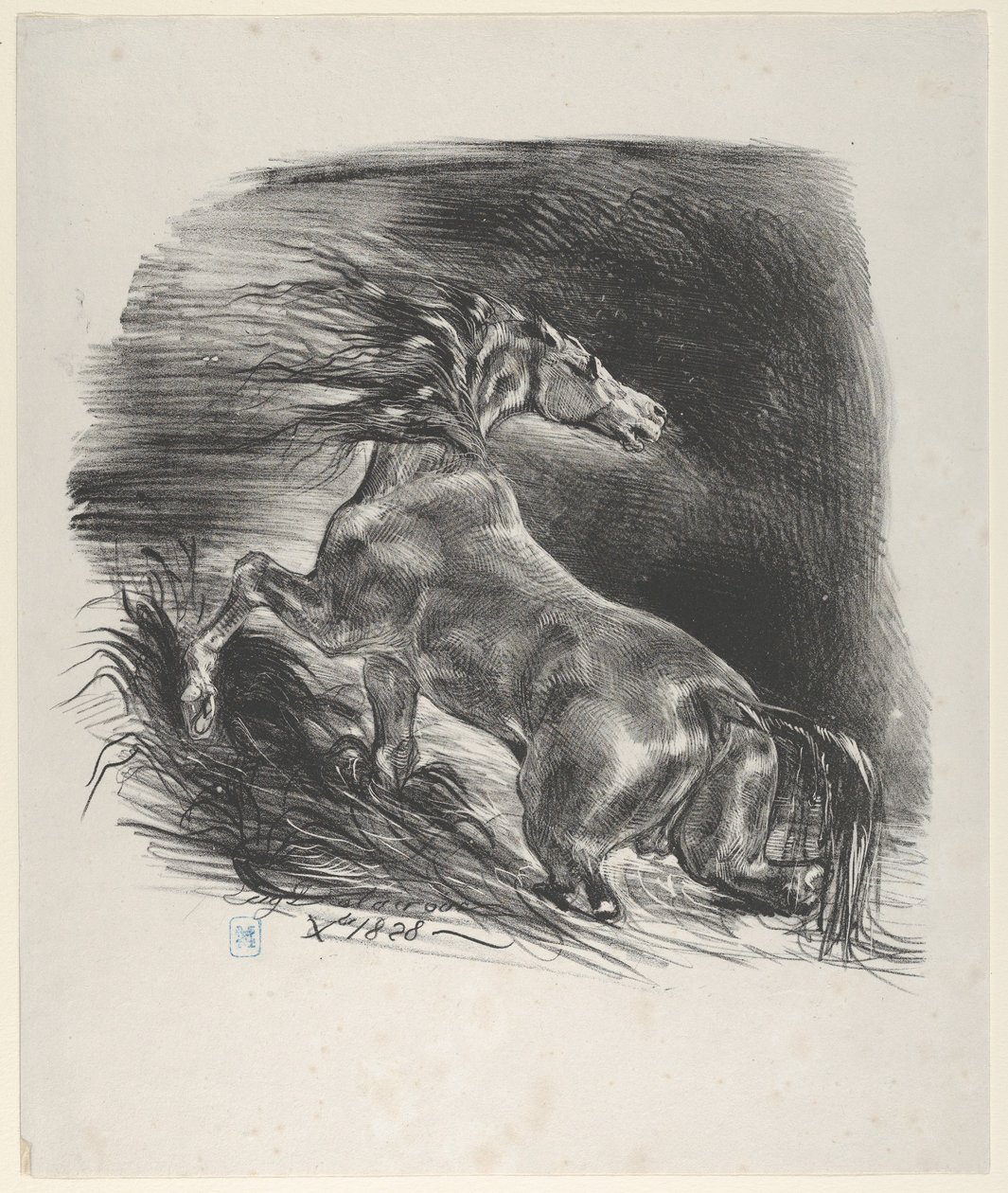Cheval sauvage, 1828 - Eugène Delacroix