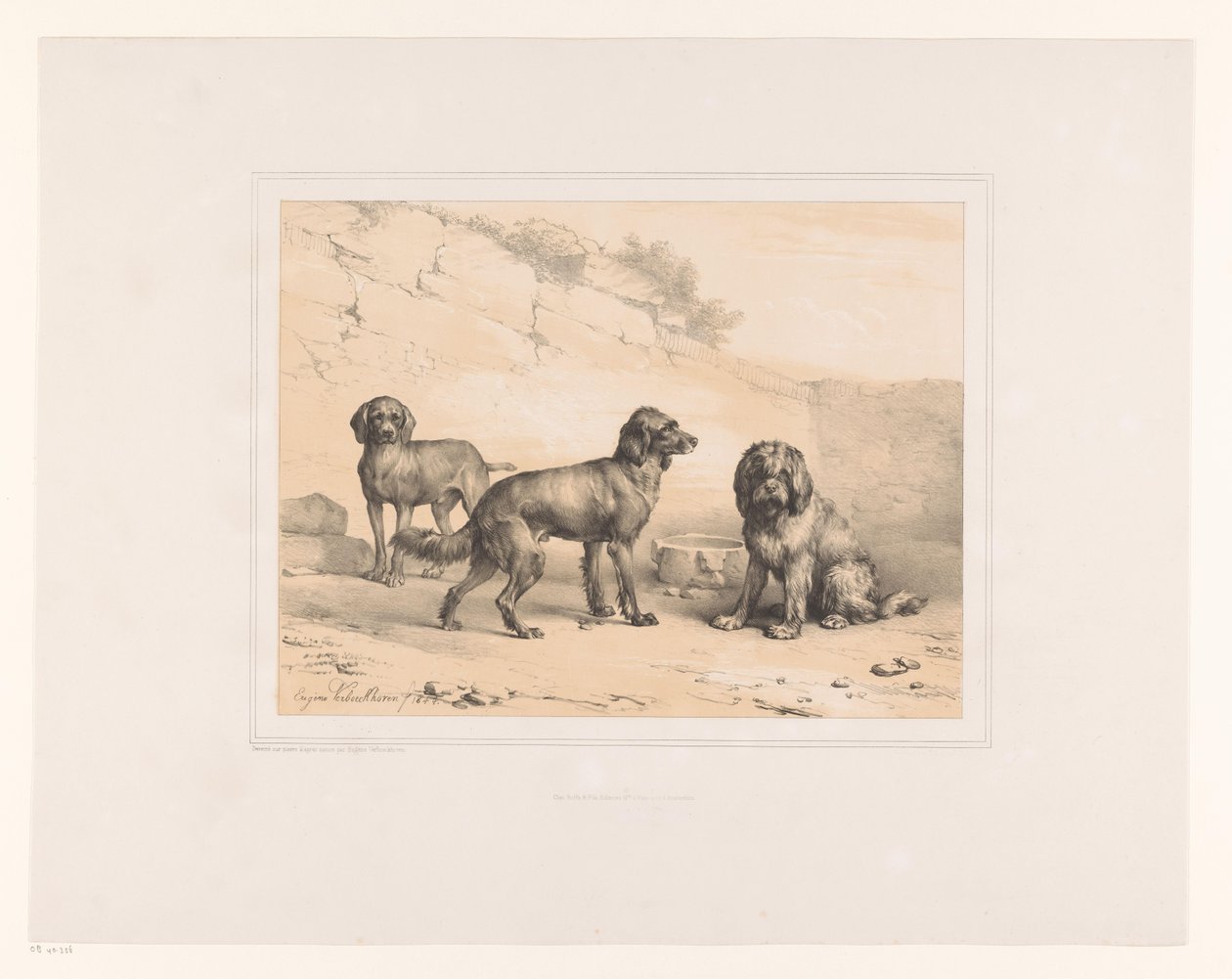 Trois chiens - Eugène Verboeckhoven