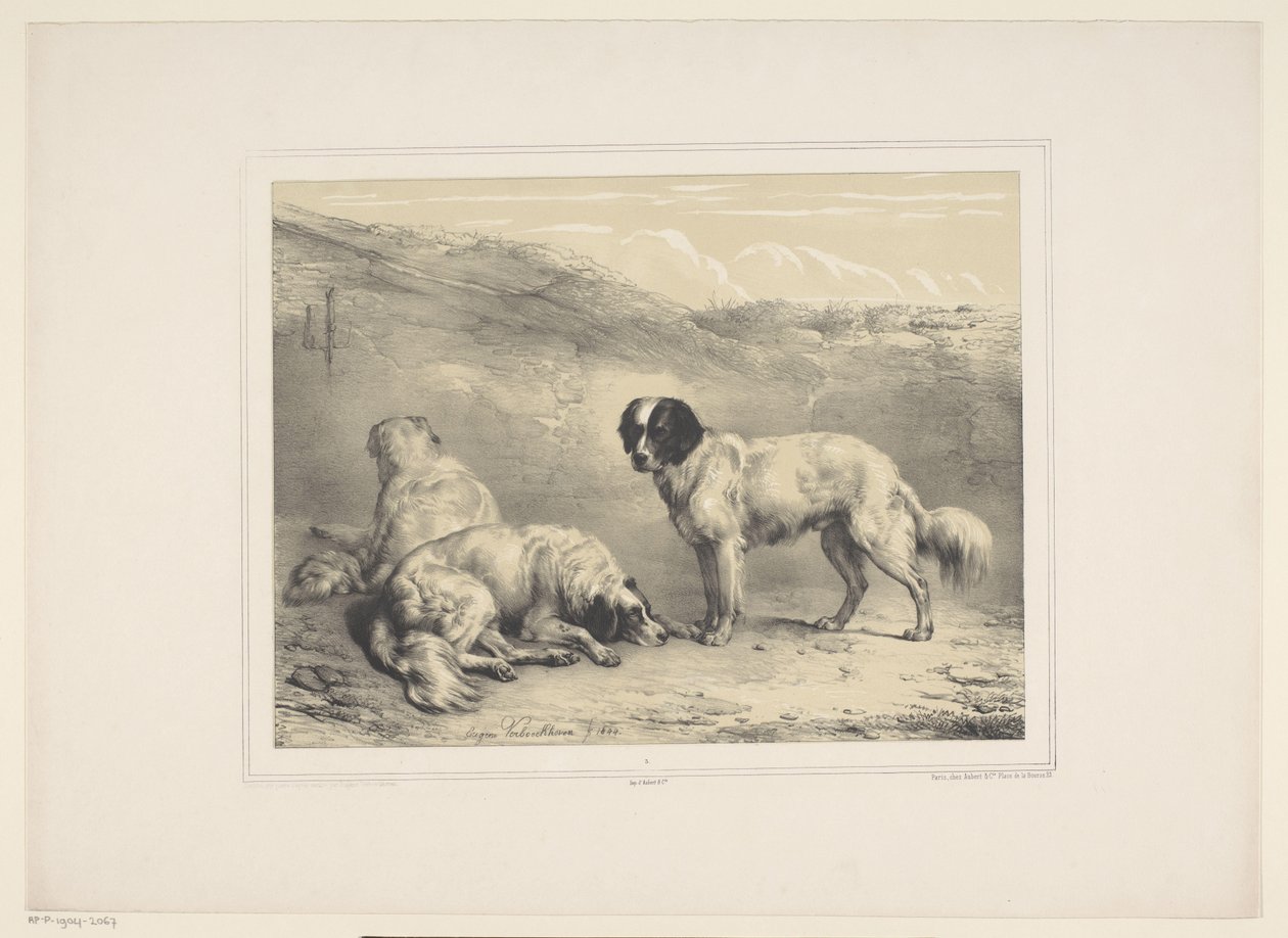 Trois chiens - Eugène Verboeckhoven