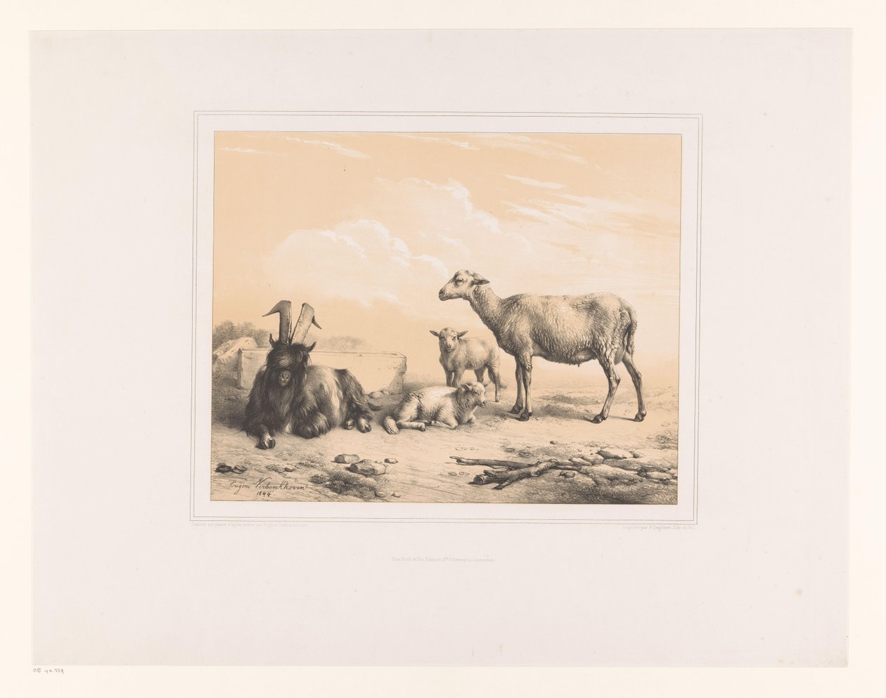 Chèvre, mouton et deux agneaux - Eugène Verboeckhoven