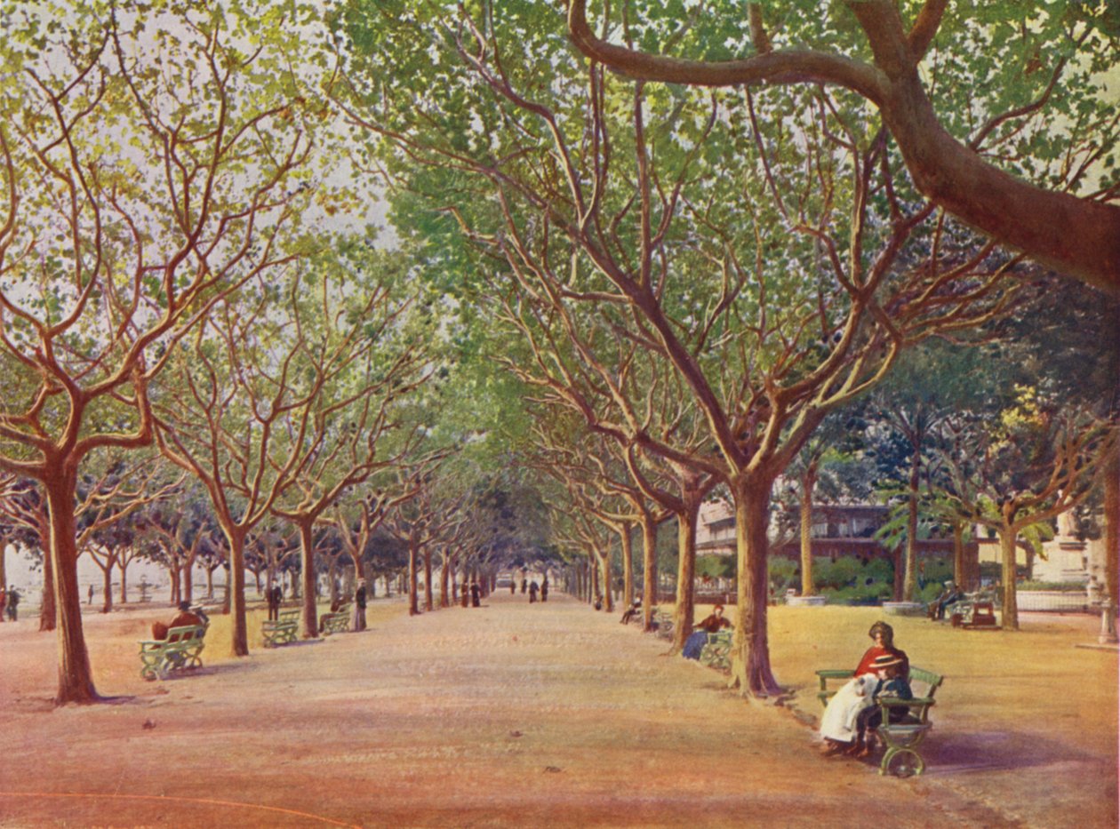 Cannes, Les Allees (colour litho) - European School