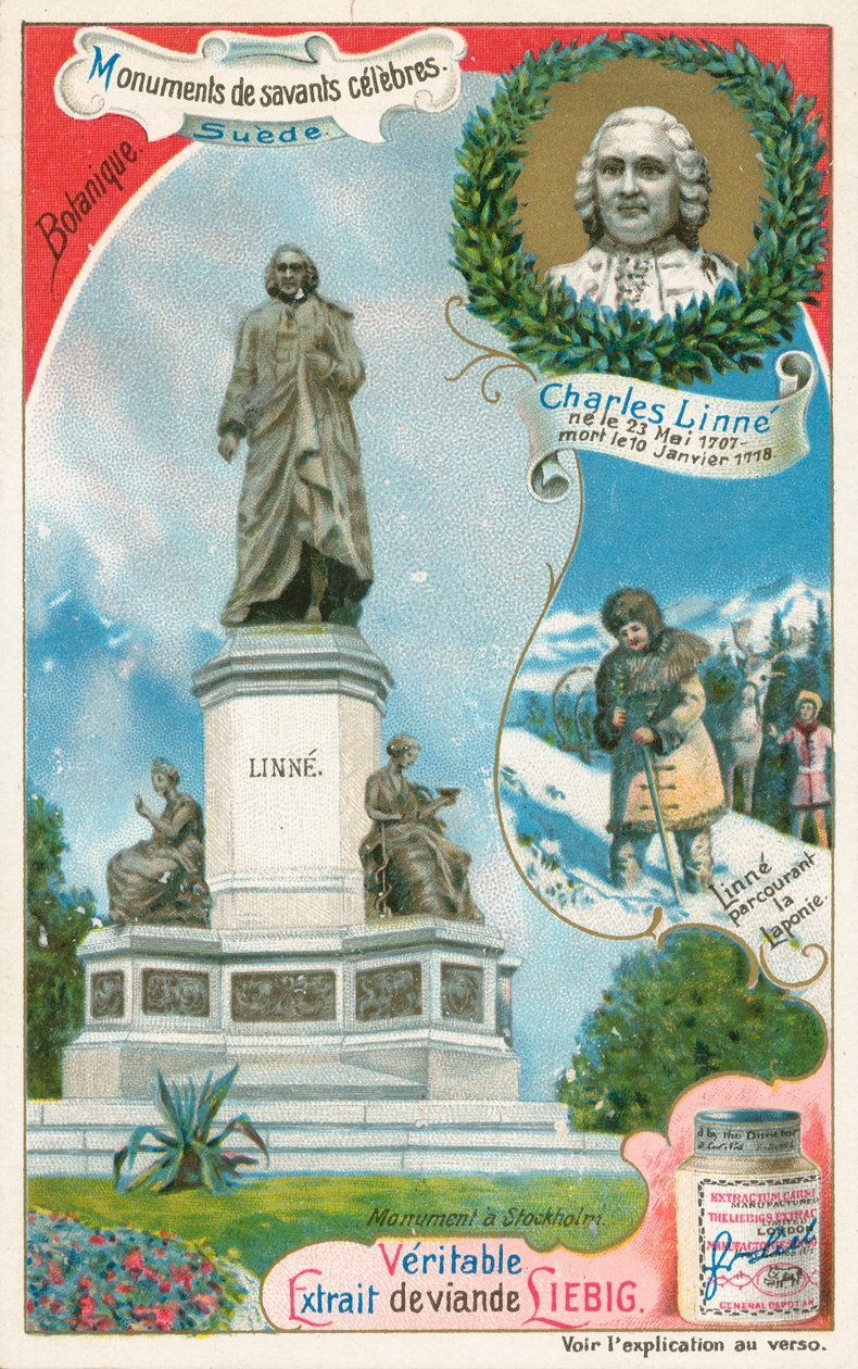 Carl Linnaeus, carte de Liebig, début du 20e siècle (chromo) - European School