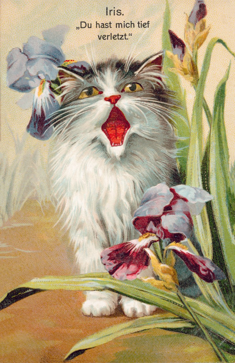 Carte postale de chat (lithographie couleur) - European School