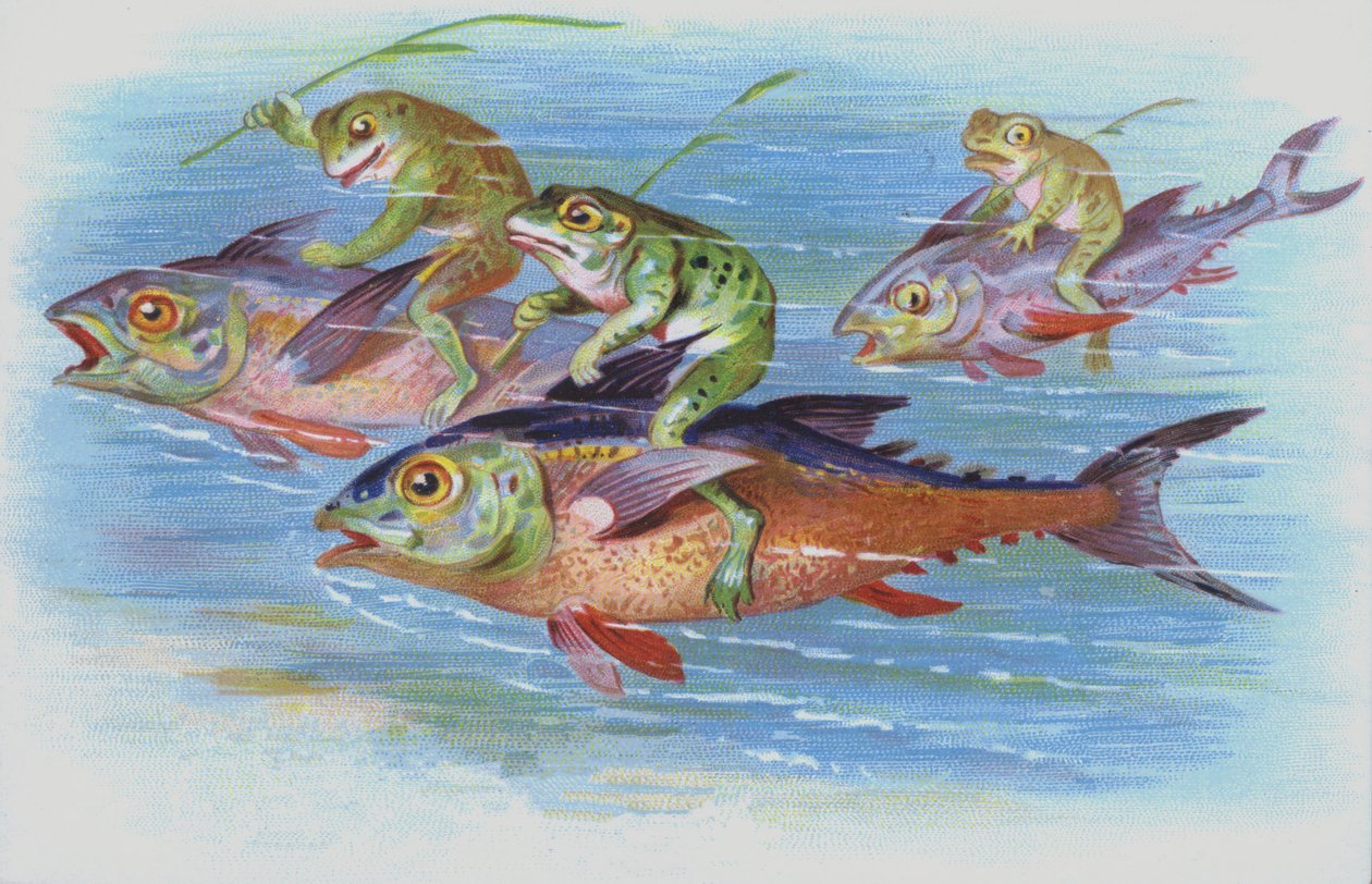 Grenouilles chevauchant des poissons (chromolitho) - European School