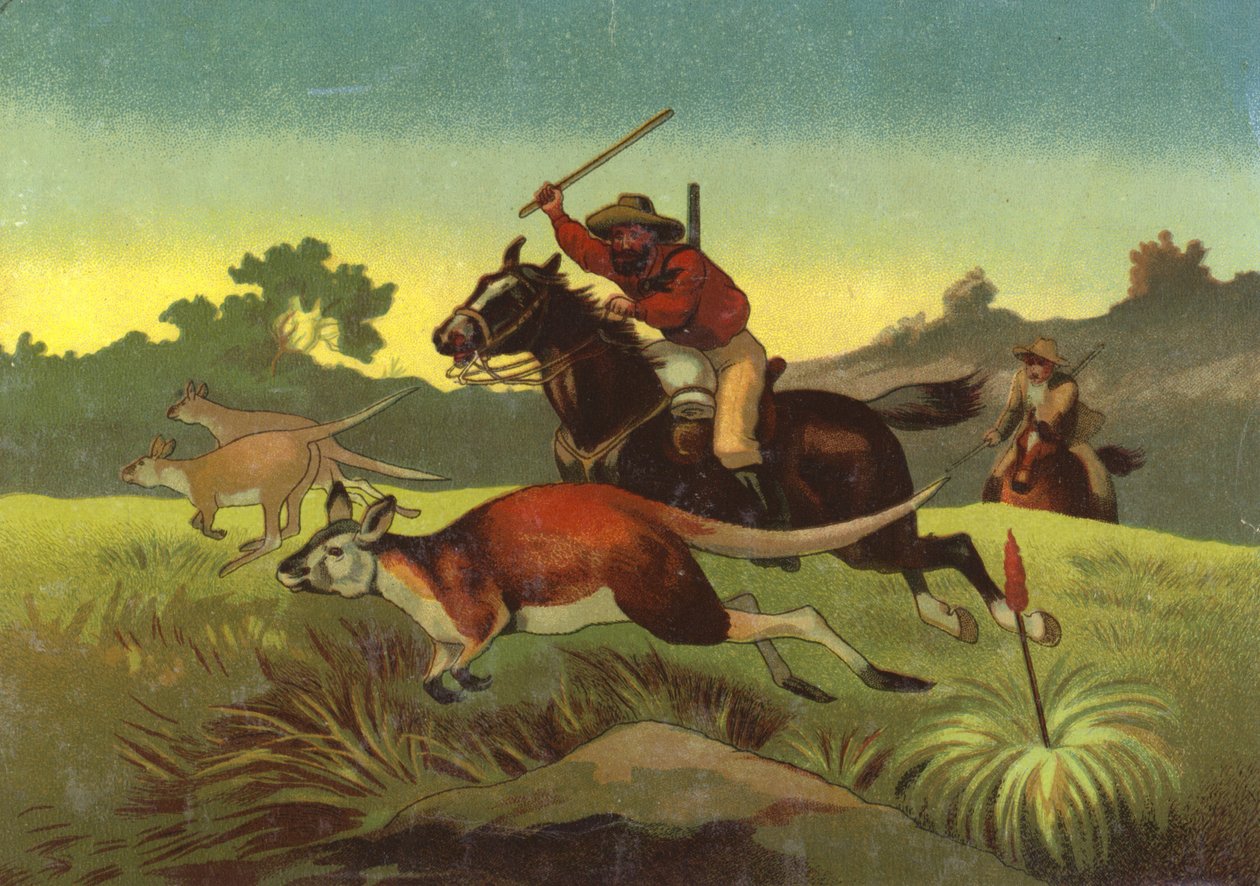 Chasse aux kangourous (chromolitho) - European School