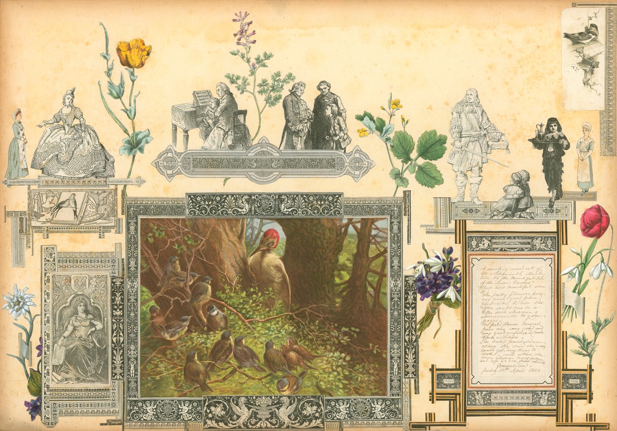 Page du volume II de Sammelsurium (matériel imprimé) - European School