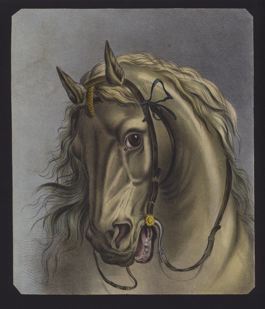 Portrait d