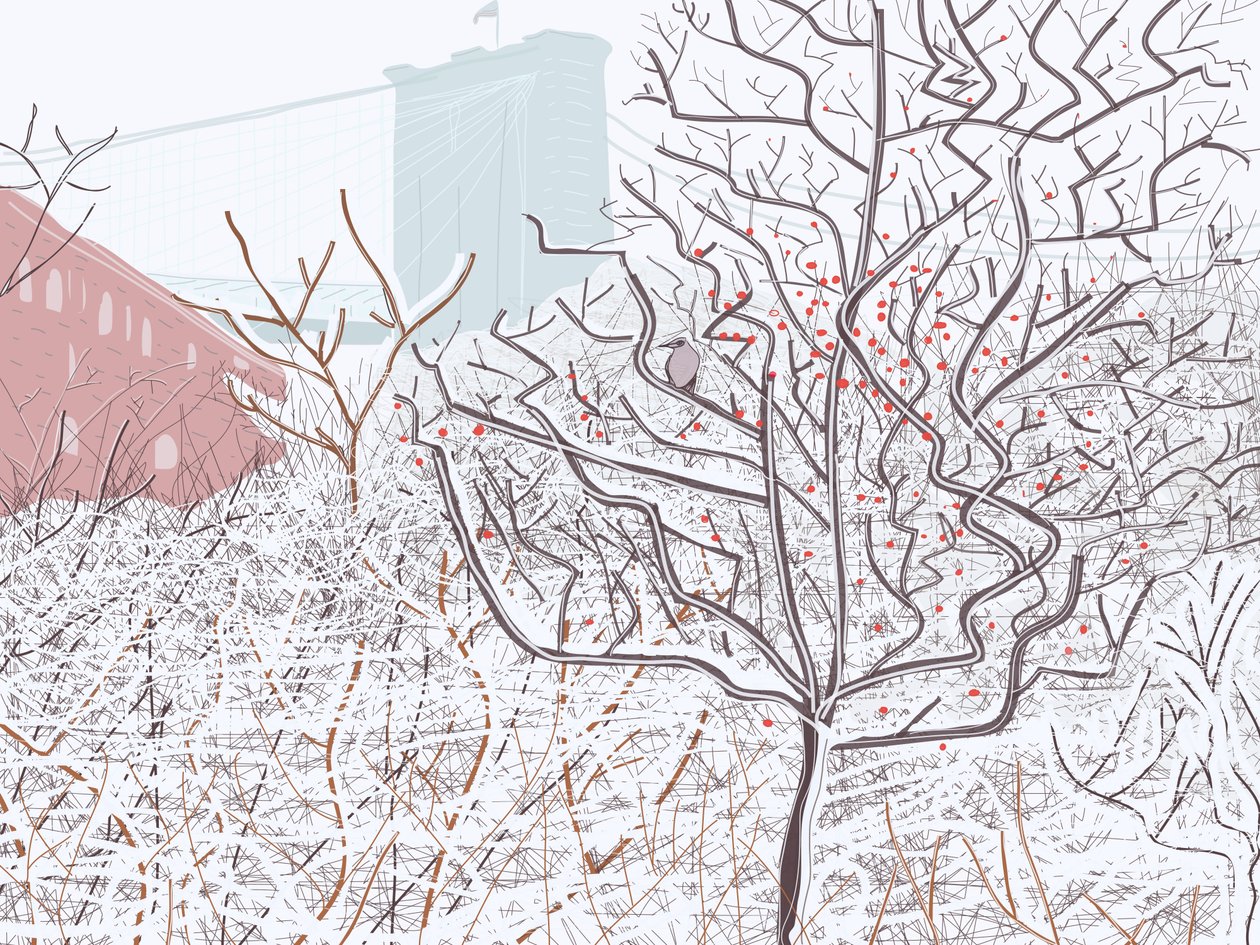 Oiseau dans la neige, Brooklyn Bridge Park (art numérique) - Evan Sklar