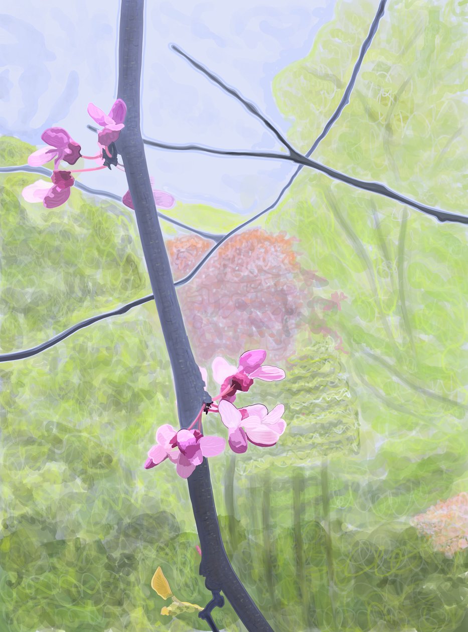 Branche et fleur (art numérique) - Evan Sklar