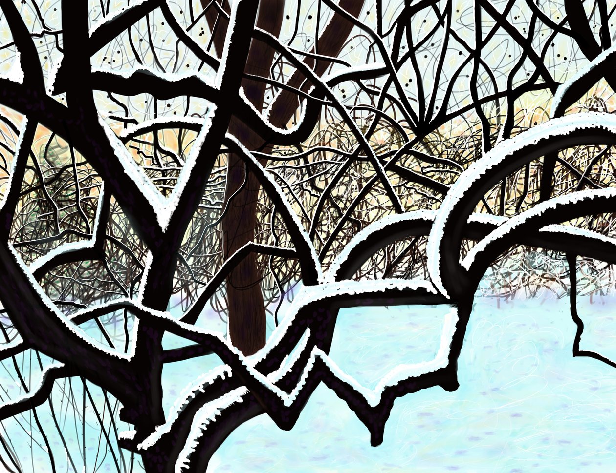 Cerisier dans la neige, Brooklyn (art numérique) - Evan Sklar