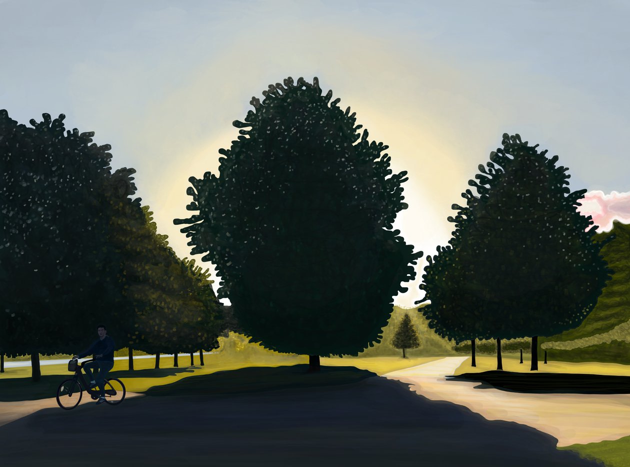 Cycliste, aube, Hyde Park (art numérique) - Evan Sklar