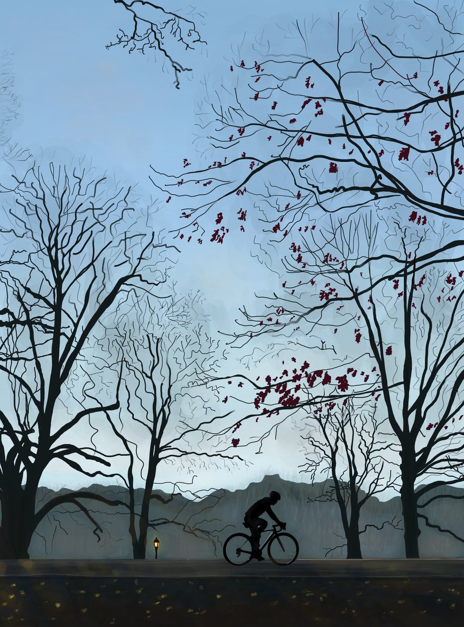 Cycliste, matin, Prospect Park (art numérique) - Evan Sklar