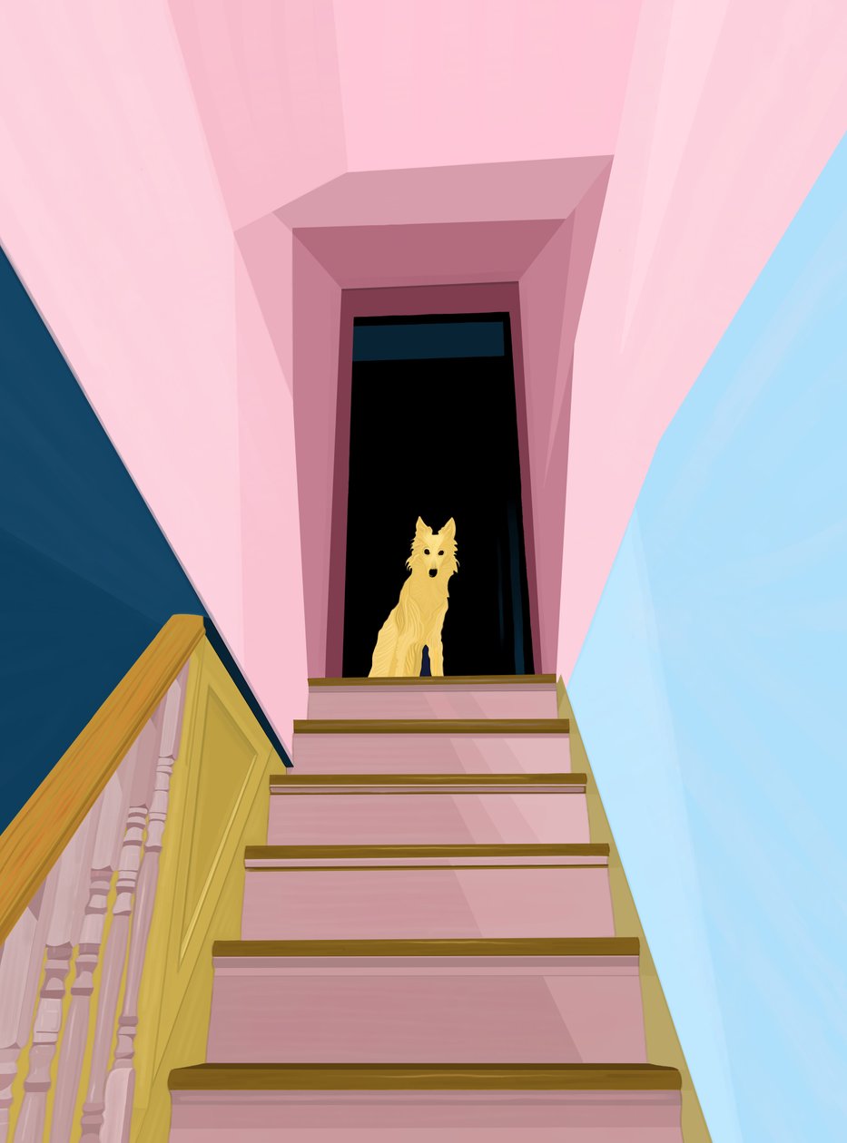 Chien au sommet d