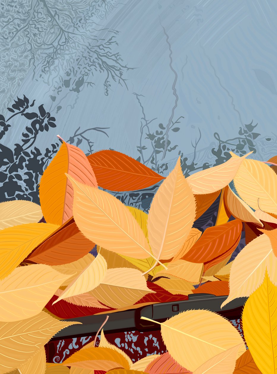 Feuilles de cerisier tombées sur le pare-brise d