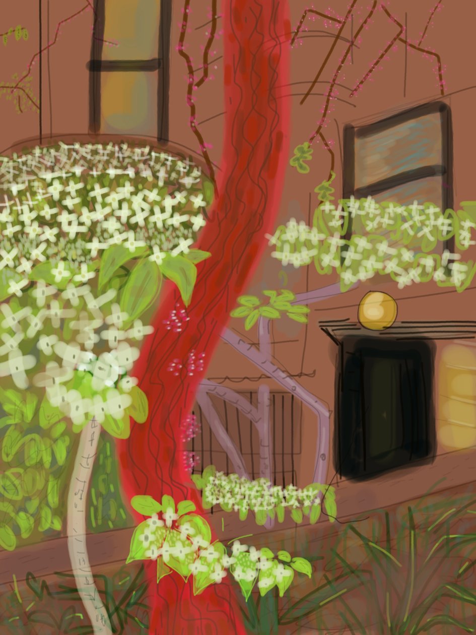 Cornouiller fleuri, 2015 (dessiné à la main sur un iPad avec un crayon Apple) - Evan Sklar