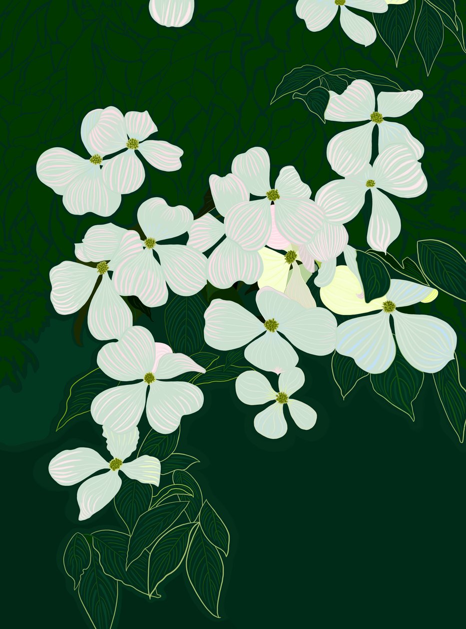 Cornouiller fleuri, c.2020-24 (art numérique) - Evan Sklar