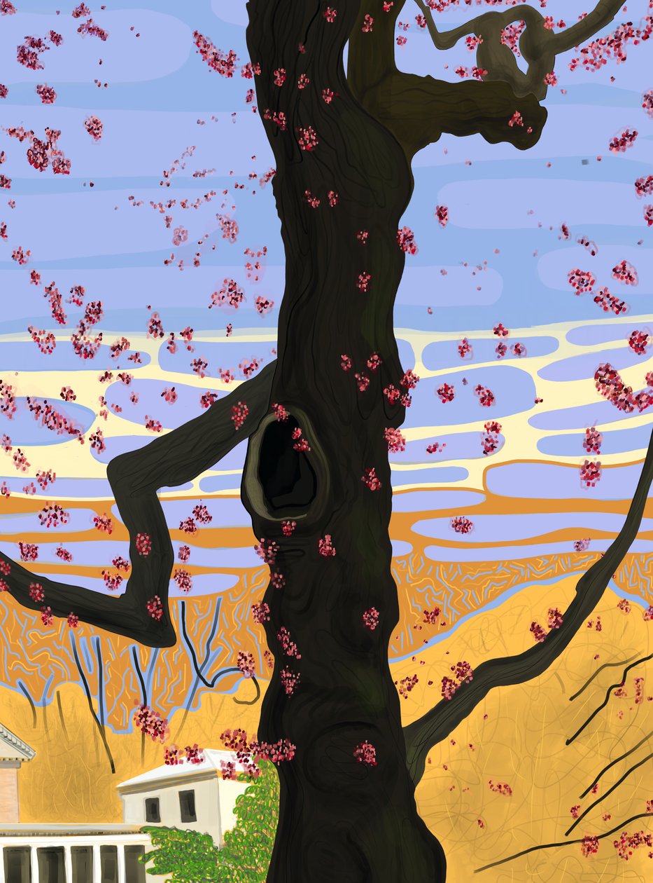 Érable à fleurs (art numérique) - Evan Sklar