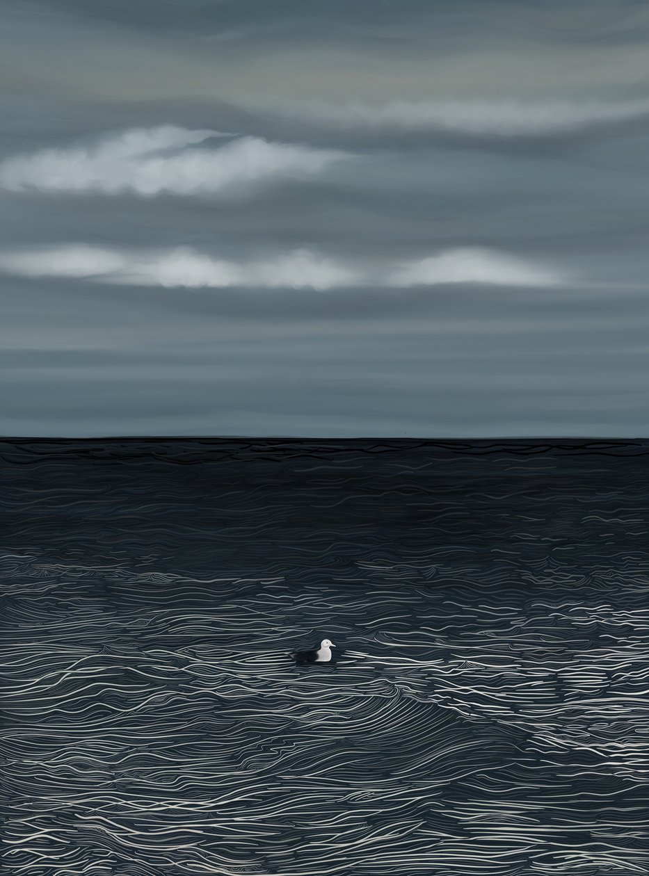Mouette flottant sur l