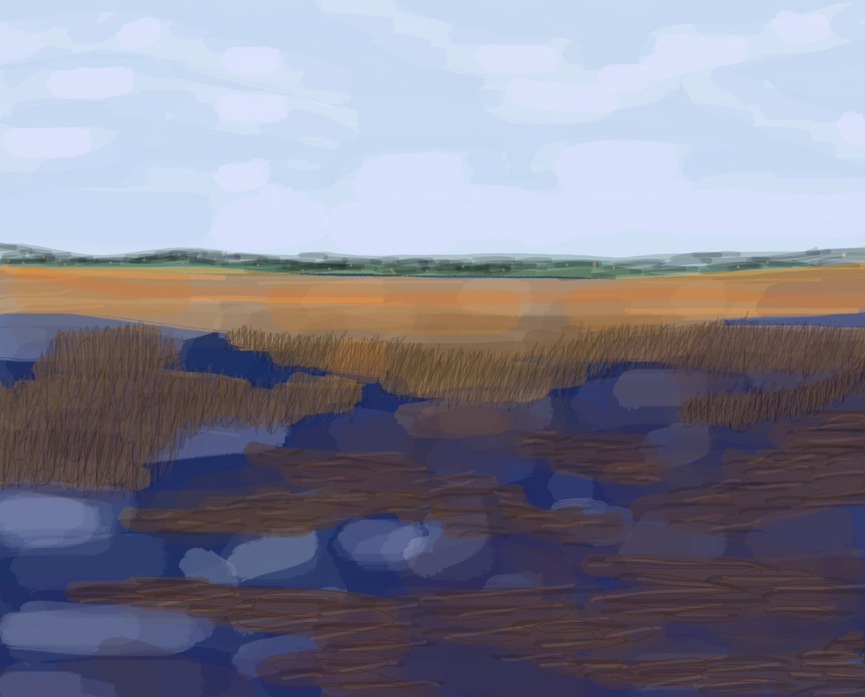 Low Country, 2016 (dessiné à la main sur un iPad avec un crayon Apple) - Evan Sklar
