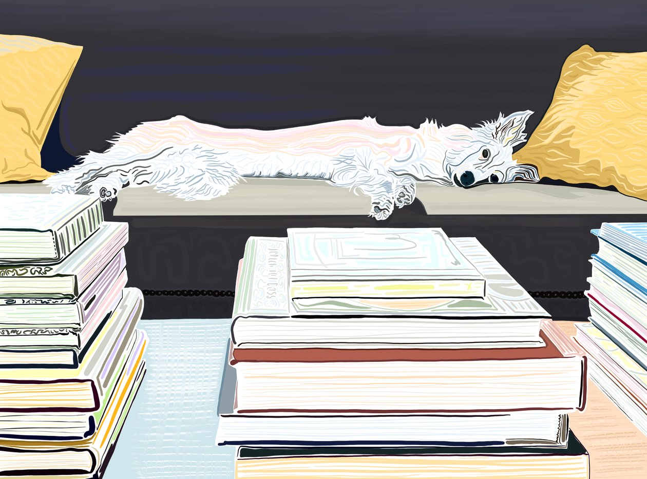 Minnie sur le canapé avec des livres, vers 2020-24 (art numérique) - Evan Sklar