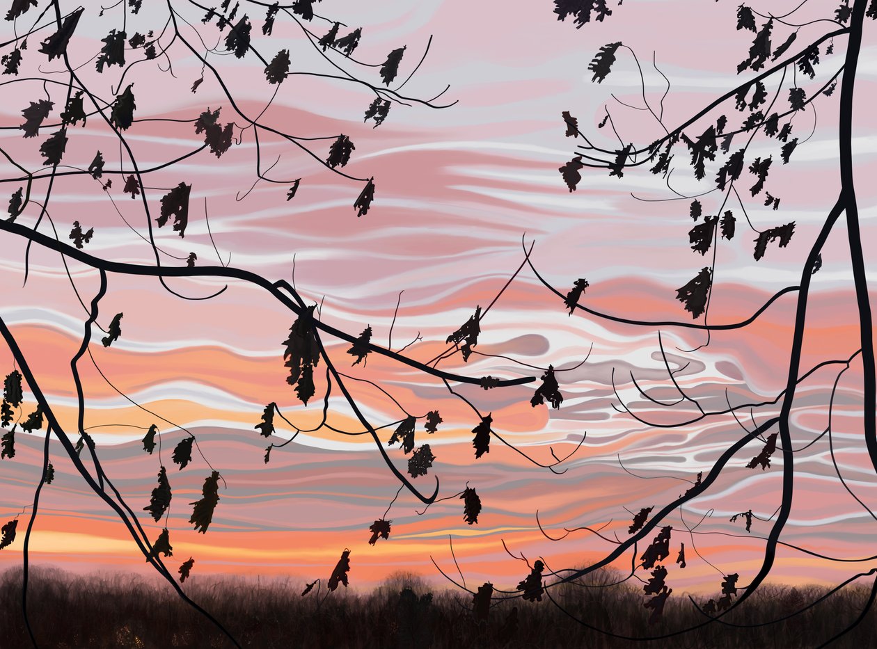 Feuilles de chêne et ciel, Brooklyn (art numérique) - Evan Sklar