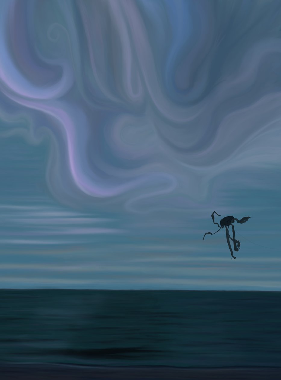 Océan et nuage avec cerf-volant pieuvre (art numérique) - Evan Sklar