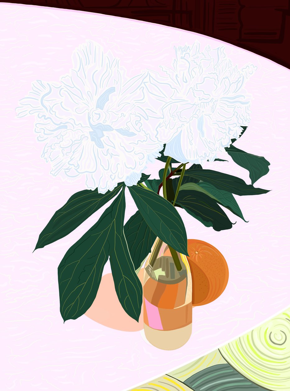 Pivoine et pamplemousse, c.2020-24 (art numérique) - Evan Sklar