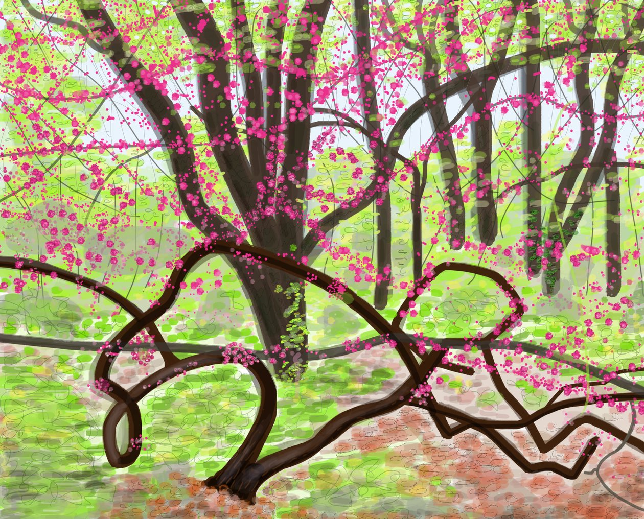 Prospect Park, printemps, 2017 (dessiné à la main sur un iPad avec un crayon Apple). - Evan Sklar