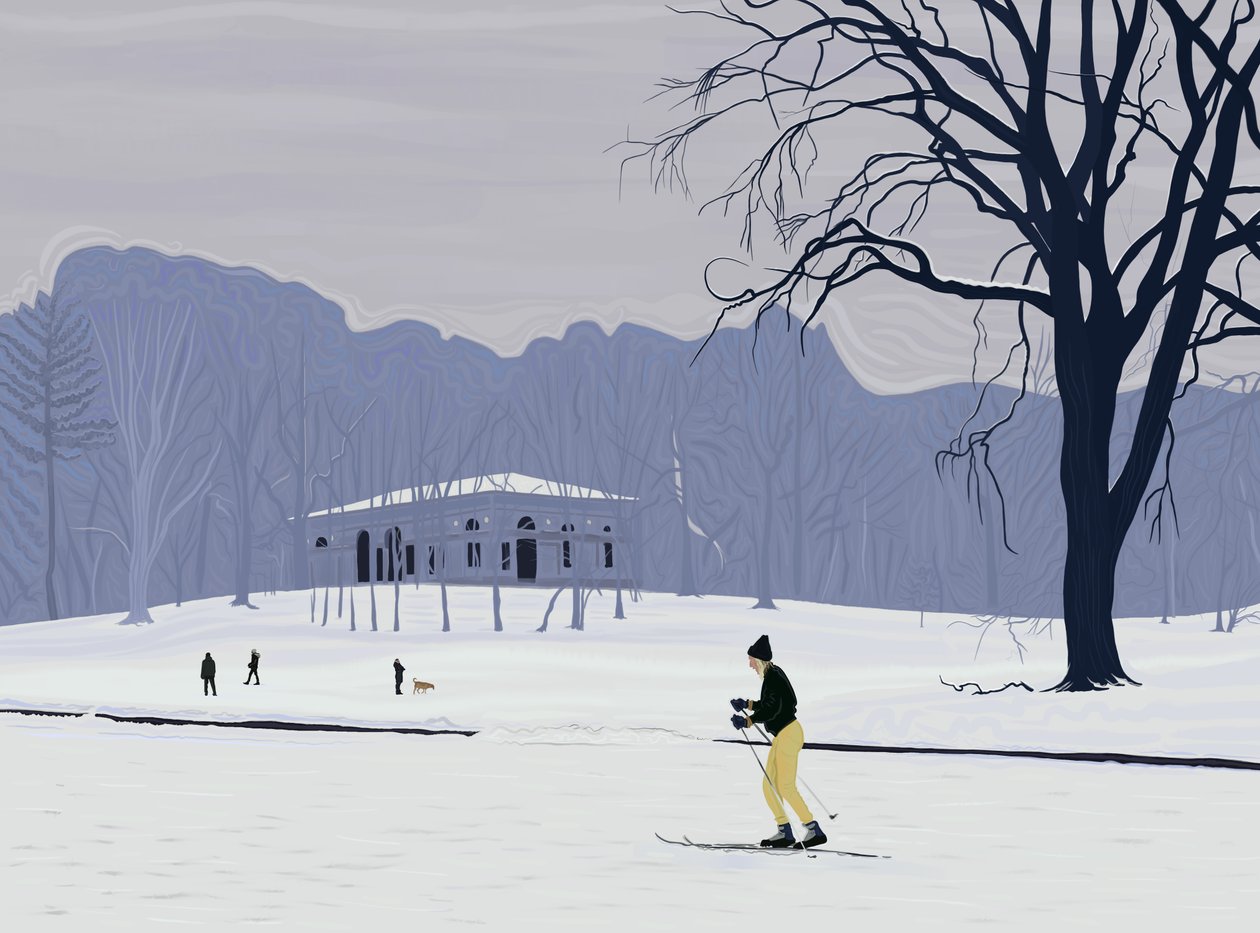 Skieur, Prospect Park , Brooklyn (art numérique) - Evan Sklar
