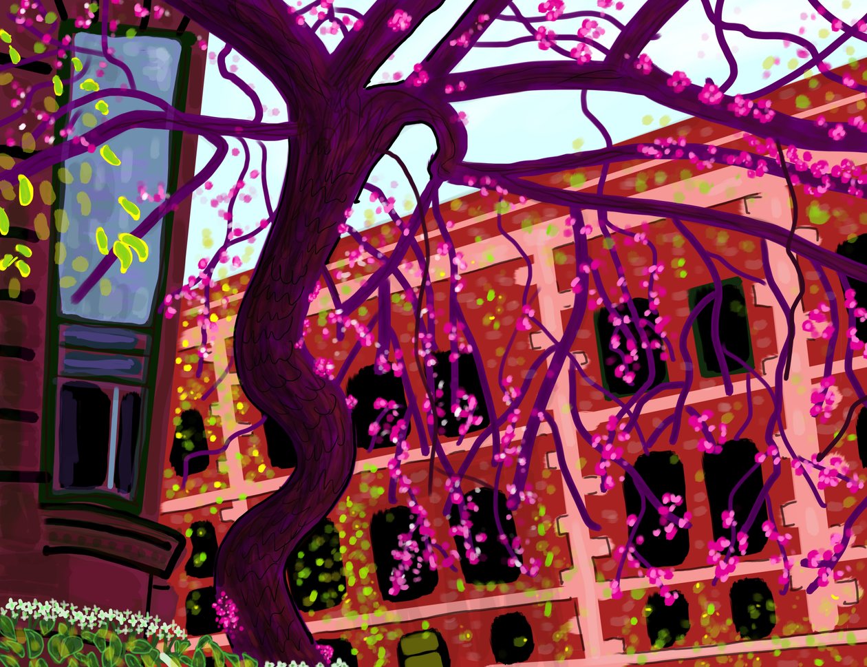 Spring, Brooklyn (art numérique) - Evan Sklar