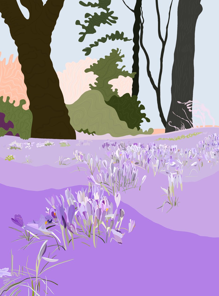 Crocus de printemps (art numérique) - Evan Sklar