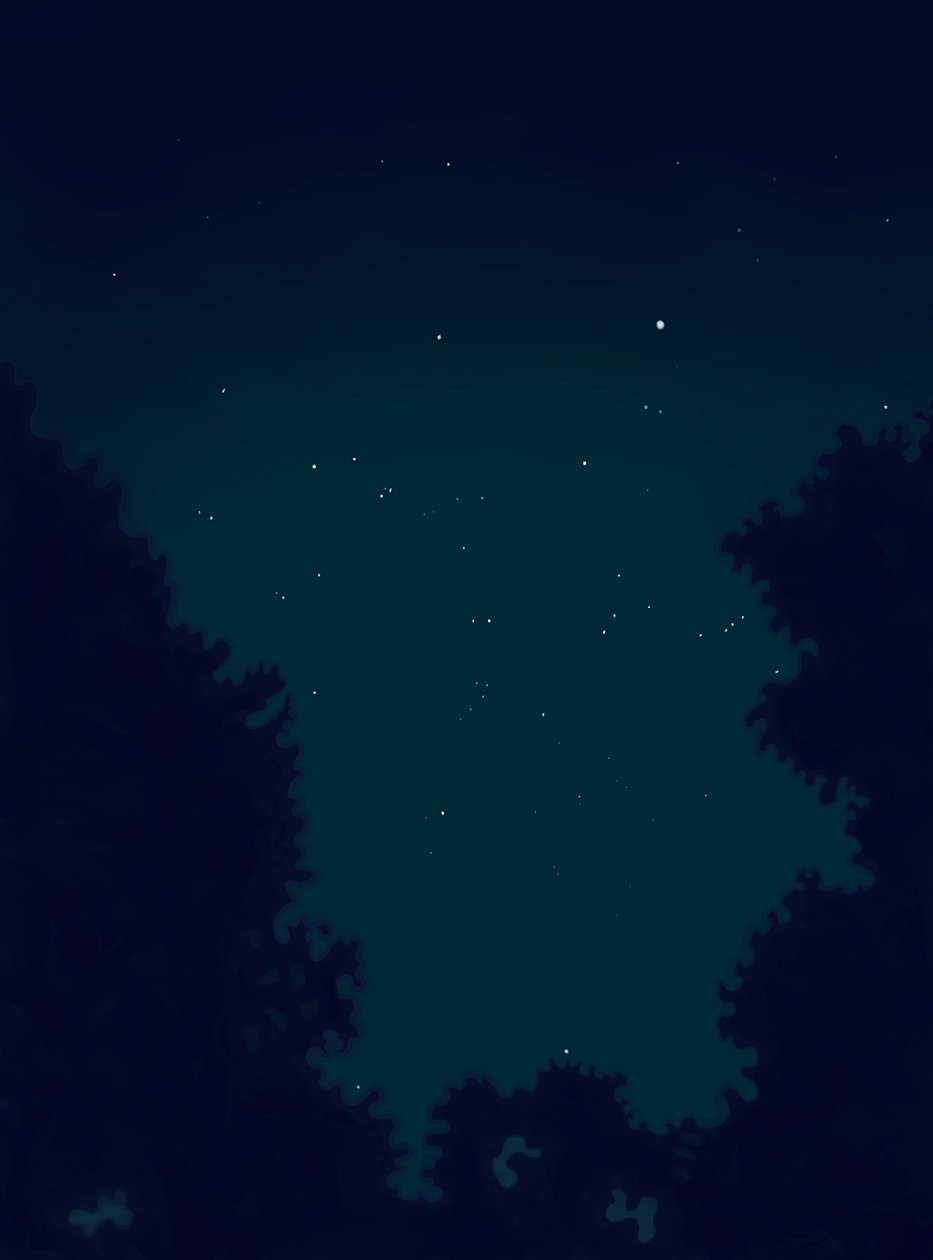 Étoiles dans le ciel la nuit et contour des arbres (art numérique) - Evan Sklar