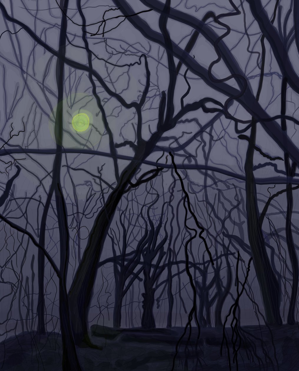 Arbres (art numérique) - Evan Sklar