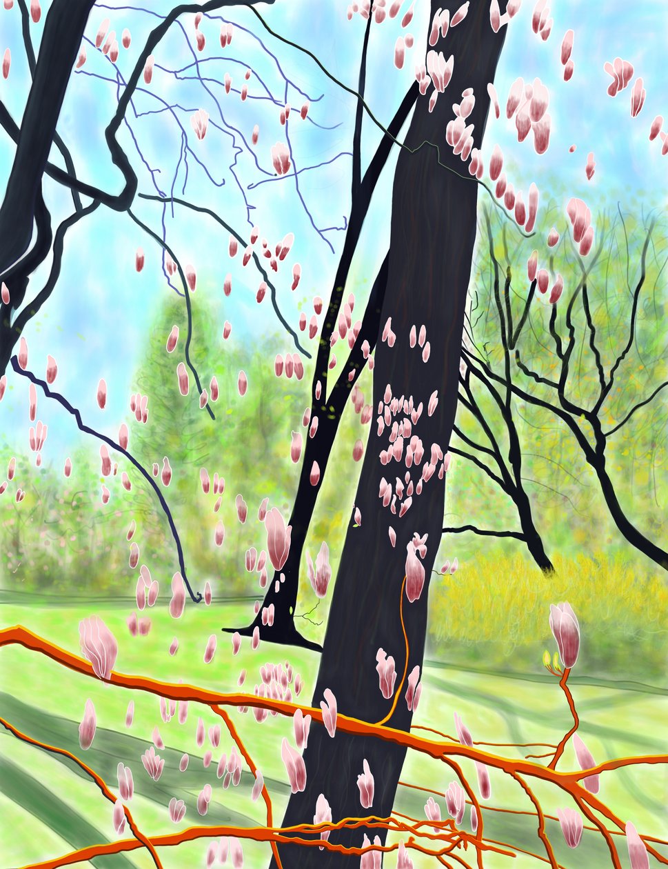 Arbre à tulipes - Evan Sklar