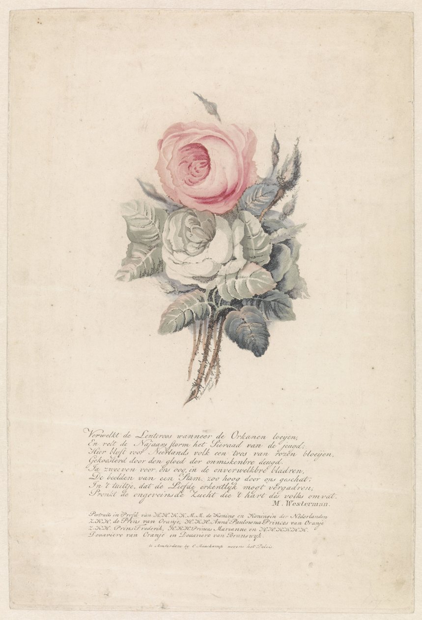 Roses - Evert Maaskamp
