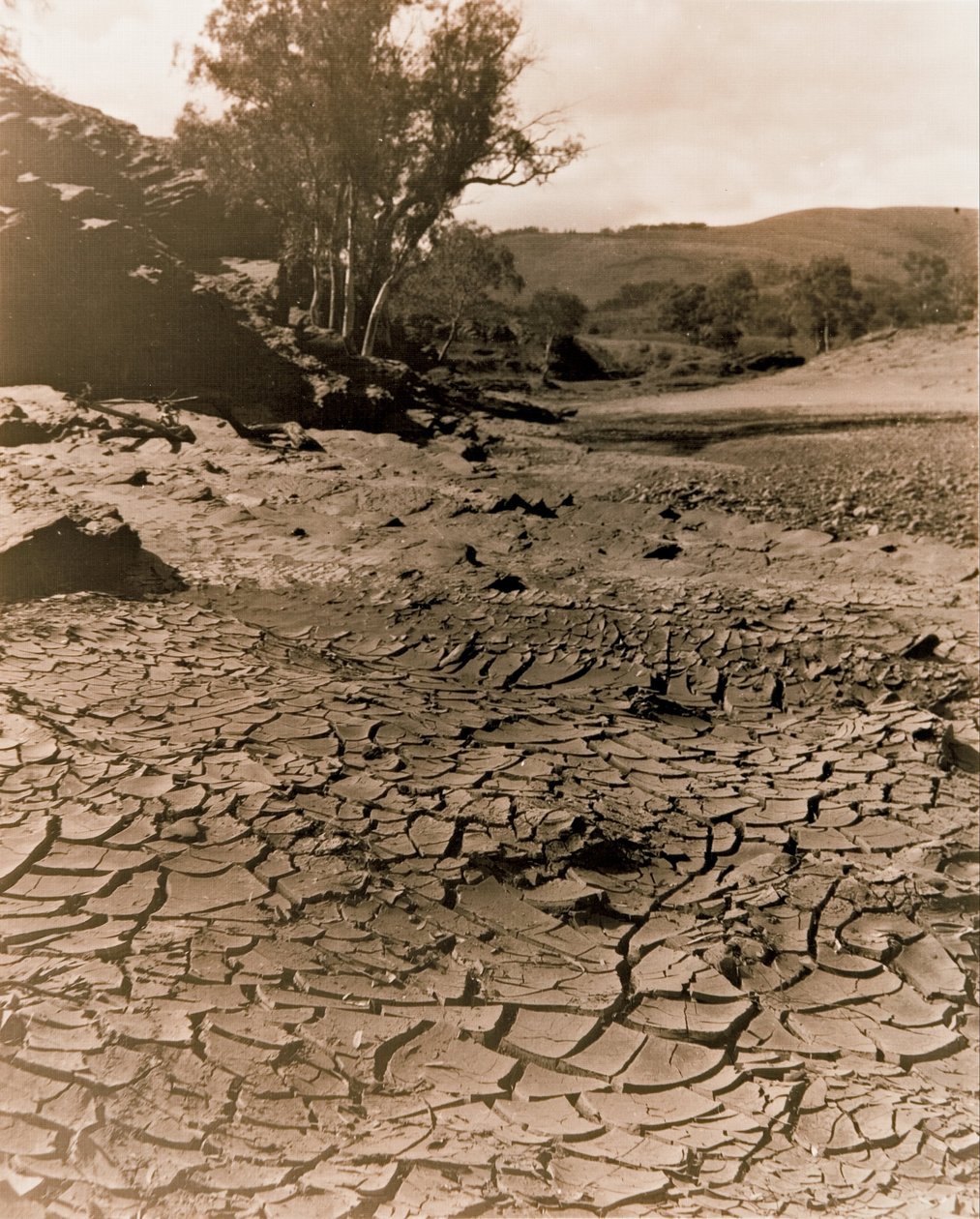 La piscine disparue, Flinders Ranges - F. A. Joyner