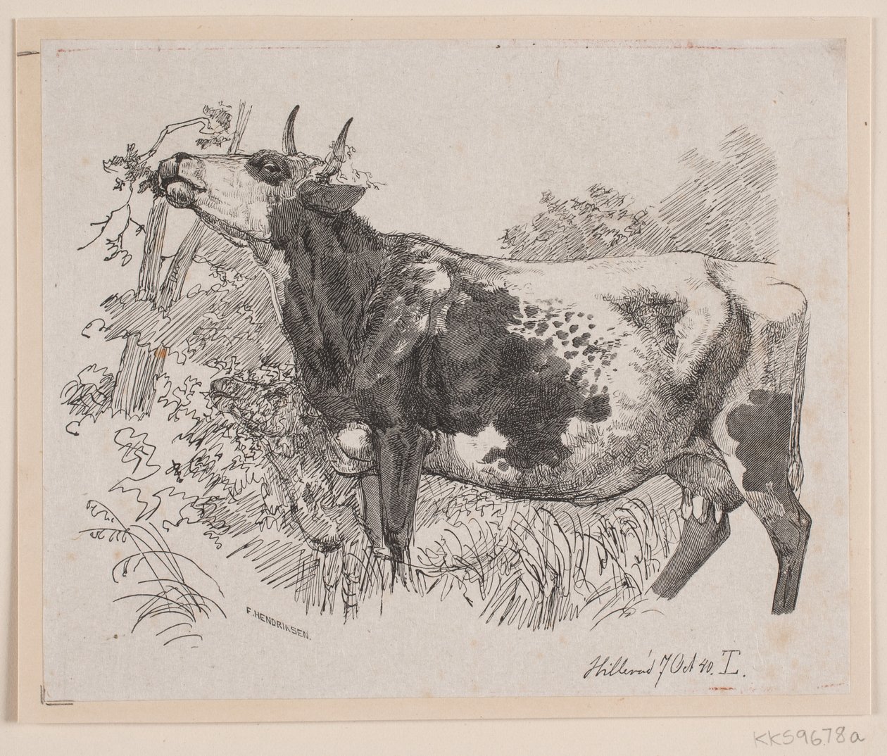 Une vache mangeant les feuilles d