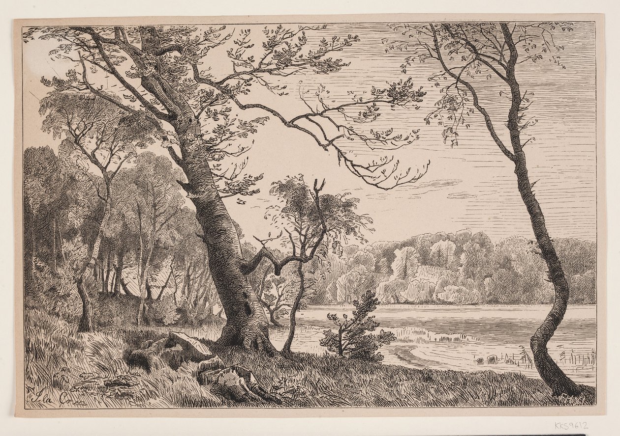 Le bosquet de Silkeborg vers le banc de la Dame - F. Hendriksen