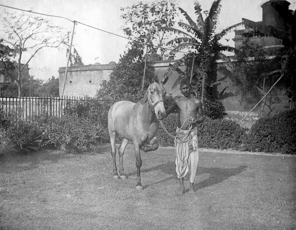Homme avec un cheval, Alipore, Inde - F. L. Peters