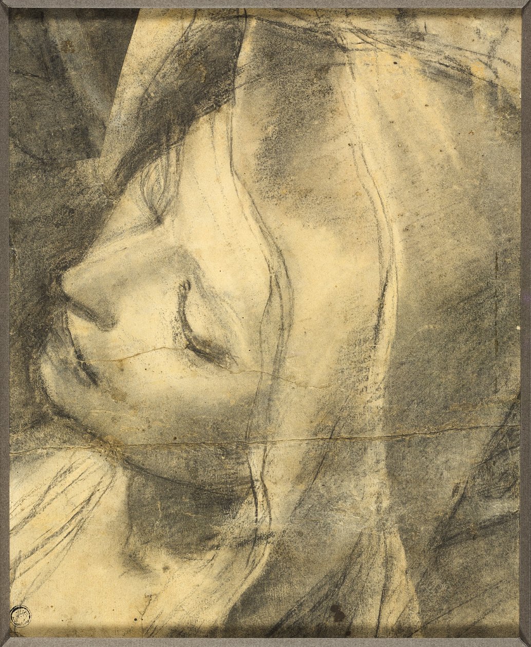 Tête de la Vierge en pâmoison : Étude pour la déposition (recot) Base de la colonne (verso) - Federico Barocci