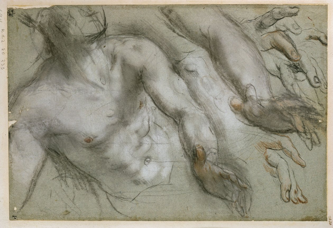 Étude pour la figure du saint dans le tableau « Martyre de saint Vitalis » - Federico Barocci