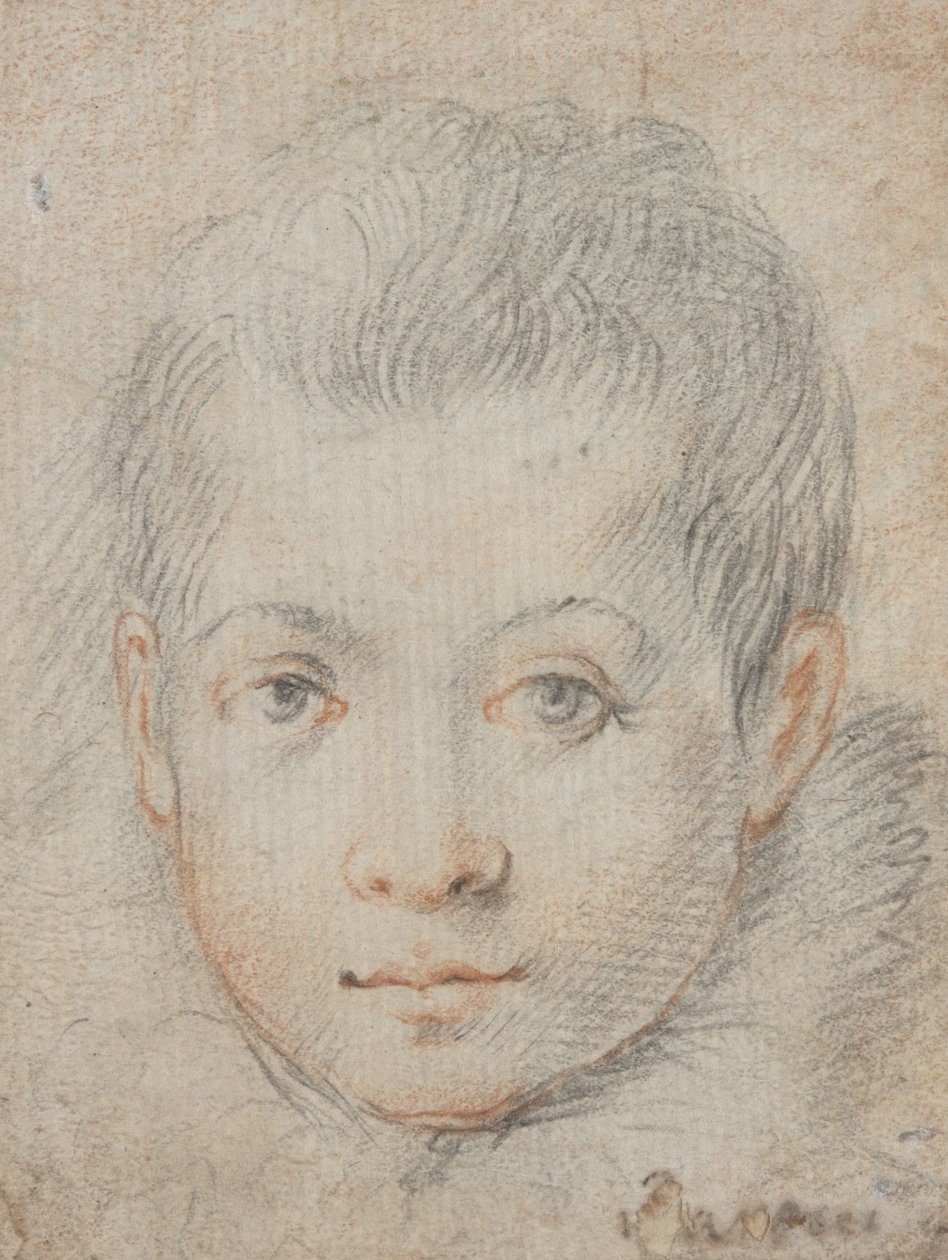 Tête de garçon - Federico Zuccaro