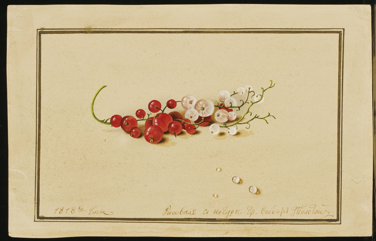 Groseilles rouges et blanches, 1818 - Fedor Petrovich Tolstoy